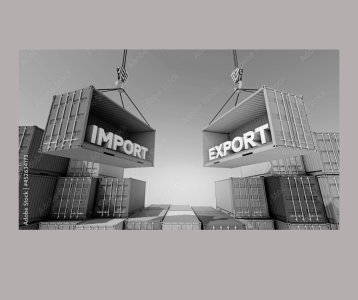 All India Import And Export Companies